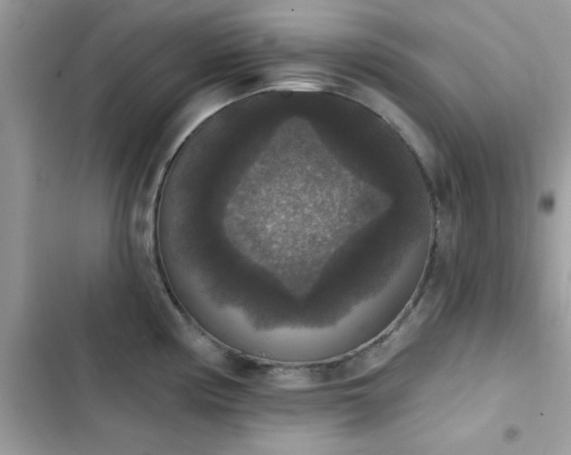 X0000103951194200809191433