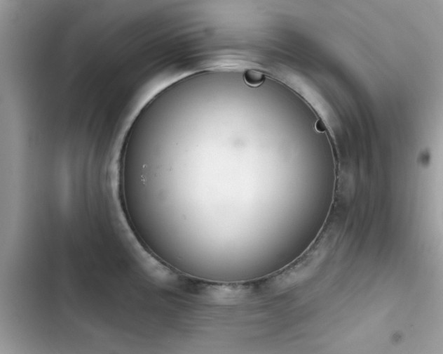 X0000103951195200809191433
