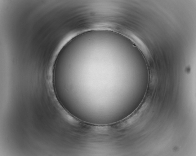 X0000103951196200809191433