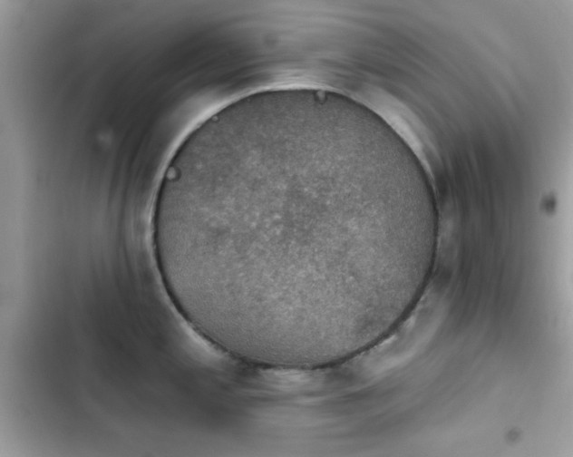 X0000103951197200809191433
