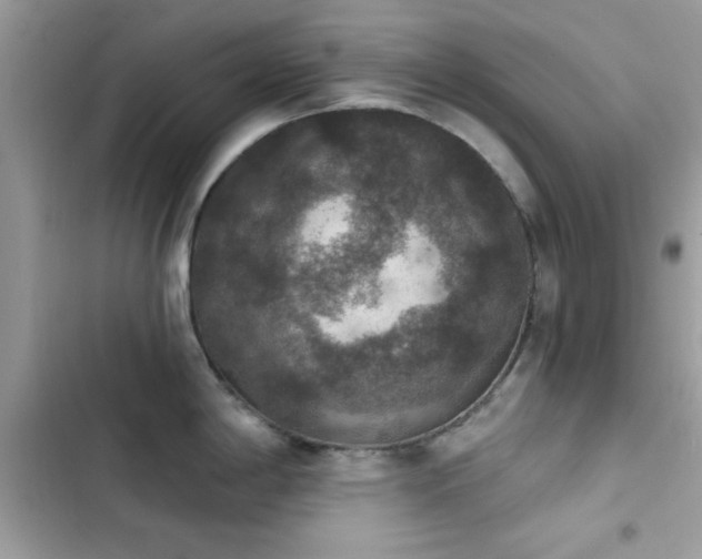 X0000103951198200809191433