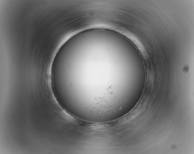 X0000103951199200809191433