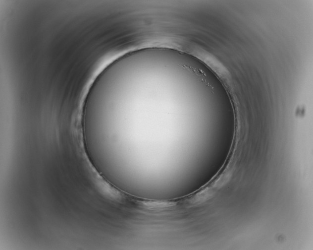 X0000103951200200809191433