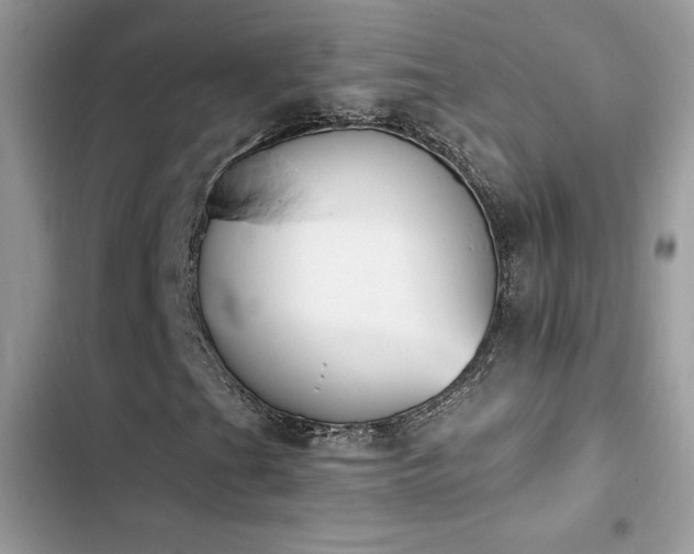 X0000103951201200809191433