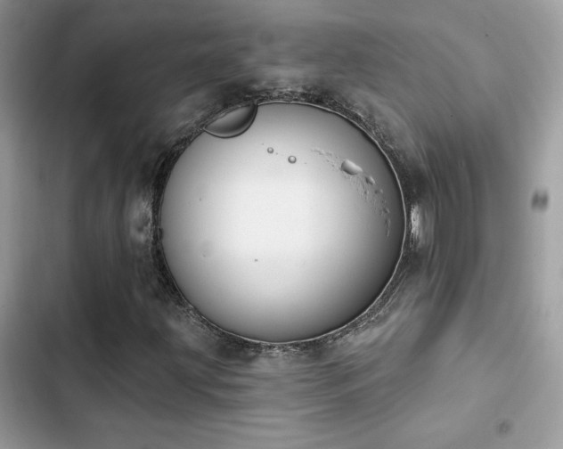 X0000103951203200809191433
