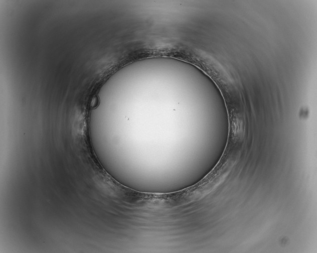 X0000103951204200809191433