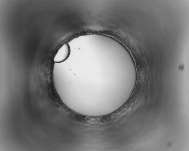 X0000103951205200809191433