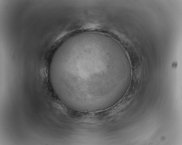 X0000103951206200809191433