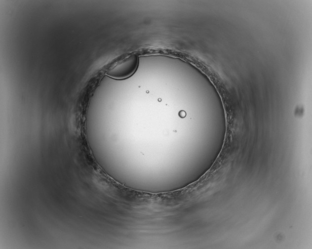 X0000103951207200809191433