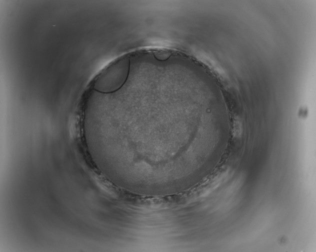 X0000103951208200809191433