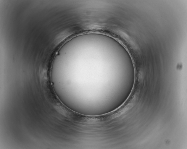 X0000103951209200809191433