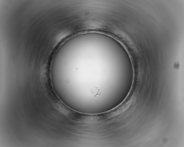 X0000103951210200809191433