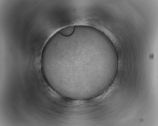 X0000103951212200809191433