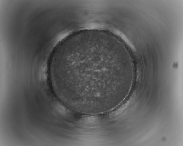 X0000103951213200809191433