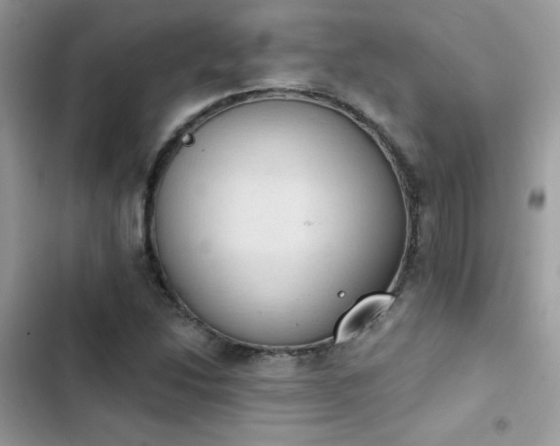 X0000103951214200809191433