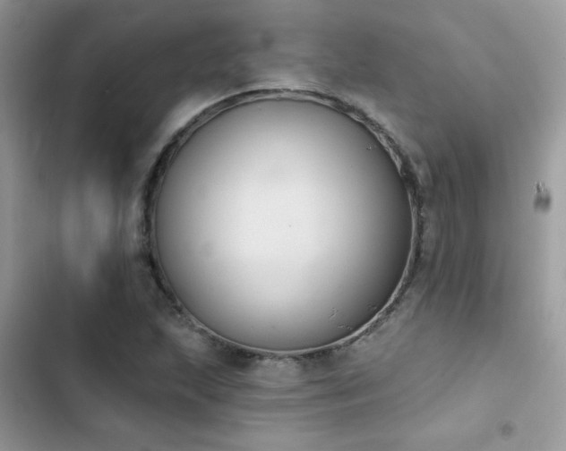 X0000103951215200809191433