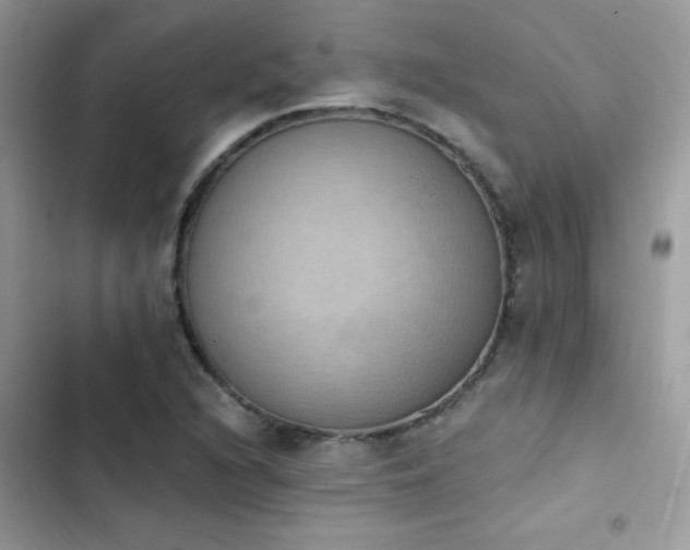 X0000103951216200809191433