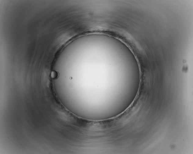 X0000103951217200809191433