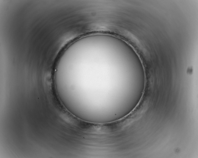 X0000103951218200809191433