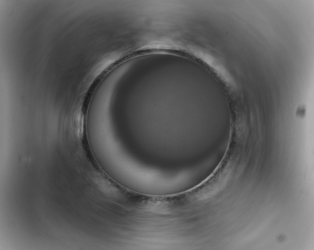 X0000103951221200809191433