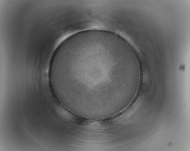 X0000103951222200809191433