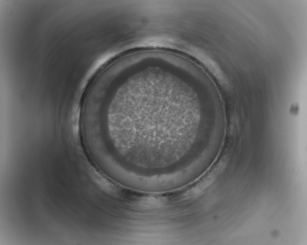 X0000103951224200809191433