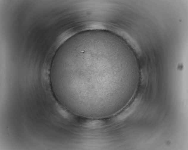 X0000103951225200809191433
