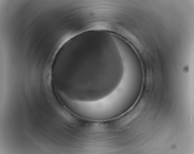 X0000103951226200809191433