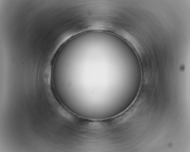 X0000103951227200809191433