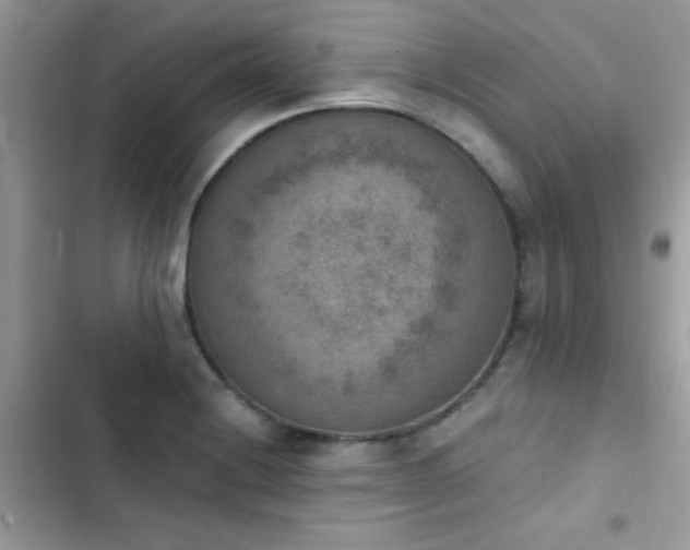 X0000103951228200809191433
