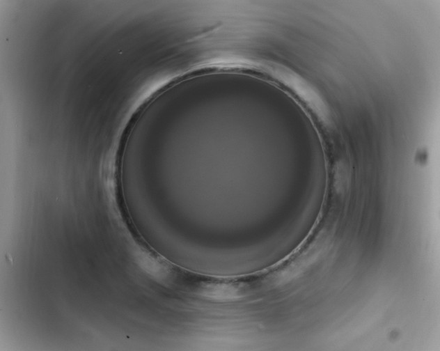 X0000103951229200809191433