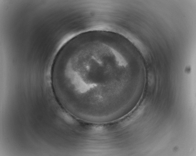 X0000103951230200809191433