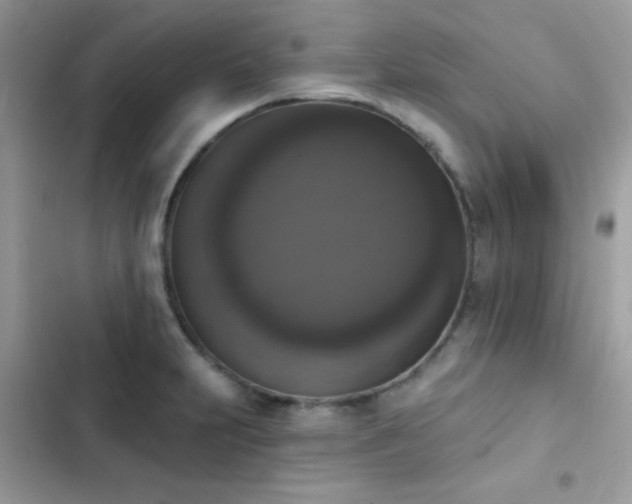 X0000103951231200809191433