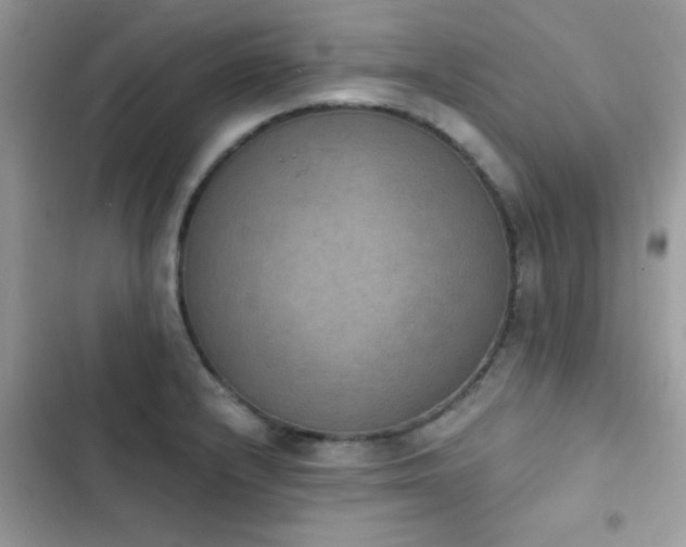 X0000103951232200809191433