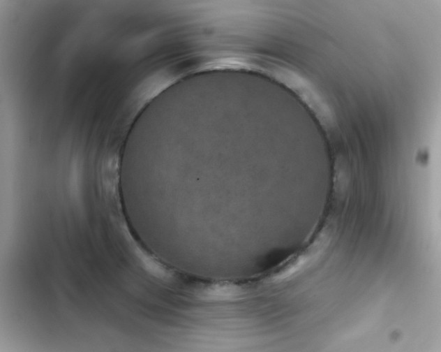 X0000103951233200809191433