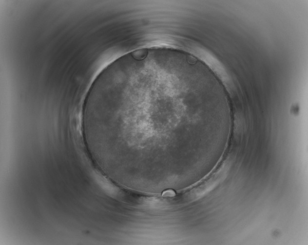 X0000103951234200809191433