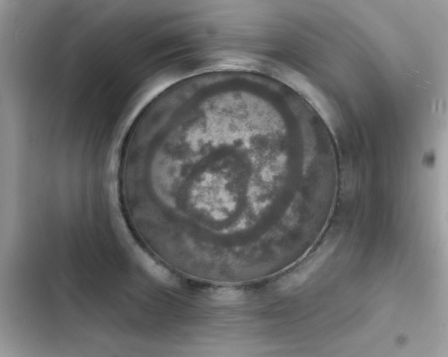 X0000103951235200809191433