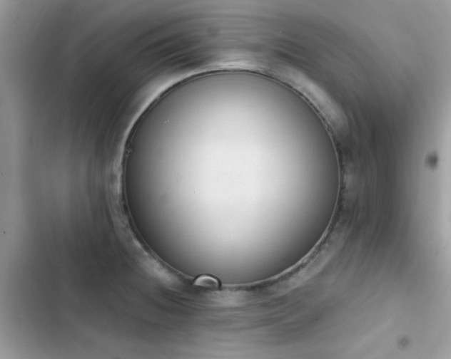 X0000103951236200809191433