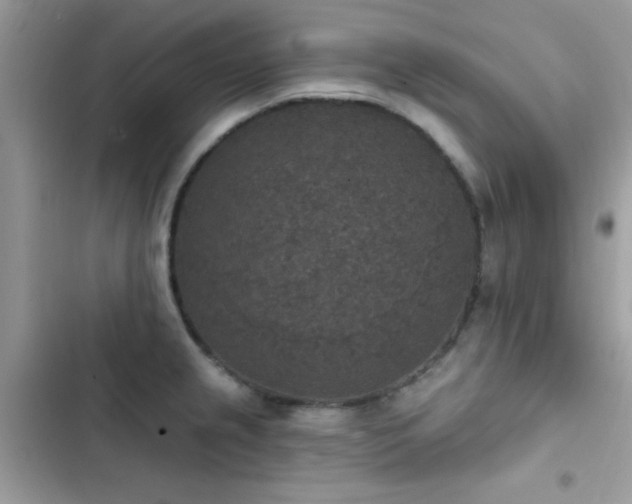 X0000103951237200809191433