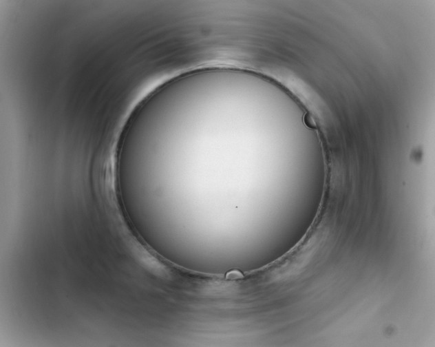 X0000103951238200809191433