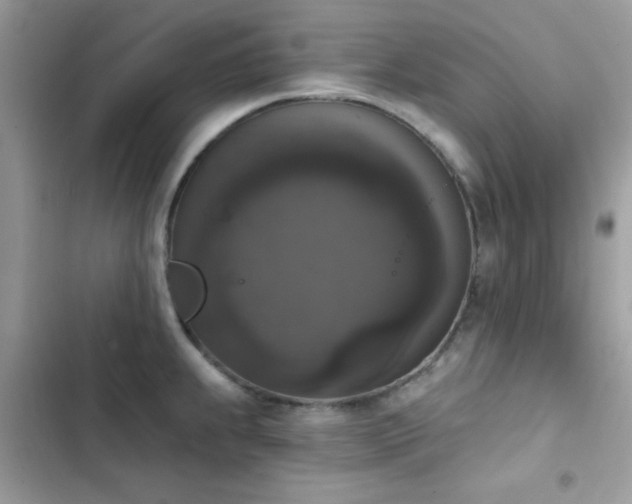 X0000103951239200809191433