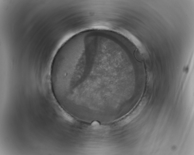 X0000103951240200809191433