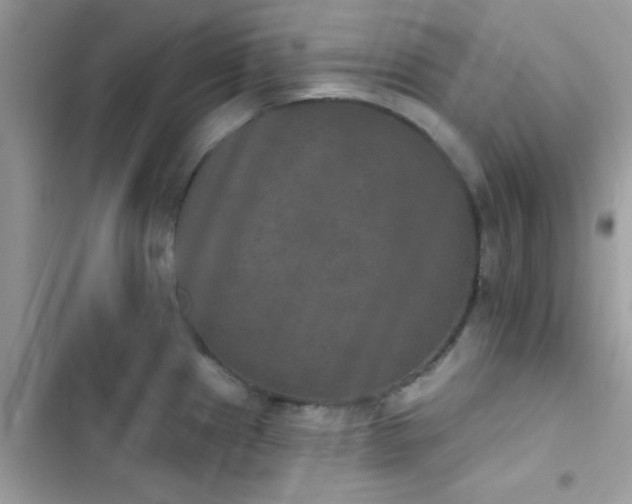 X0000103951241200809191433