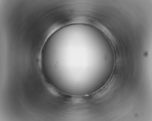 X0000103951242200809191433