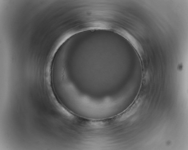 X0000103951243200809191433