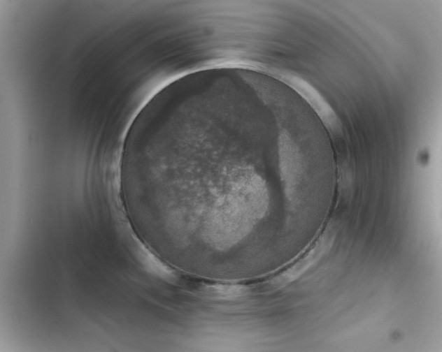 X0000103951244200809191433