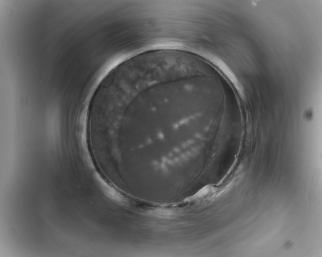 X0000103951245200809191433