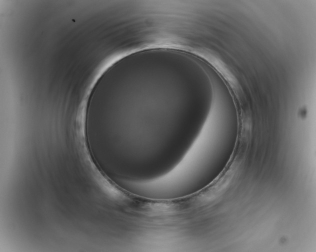 X0000103951246200809191433