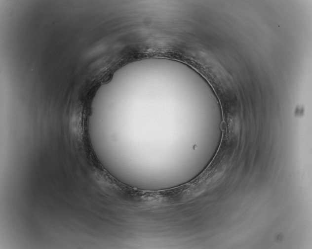 X0000103951250200809191433