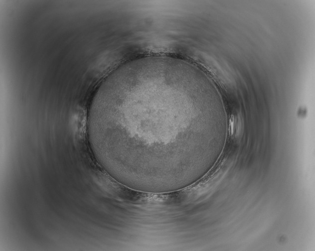 X0000103951251200809191433